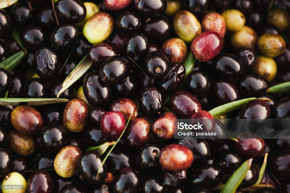 Soğuk Sıkım Zeytinyağı 250 ml